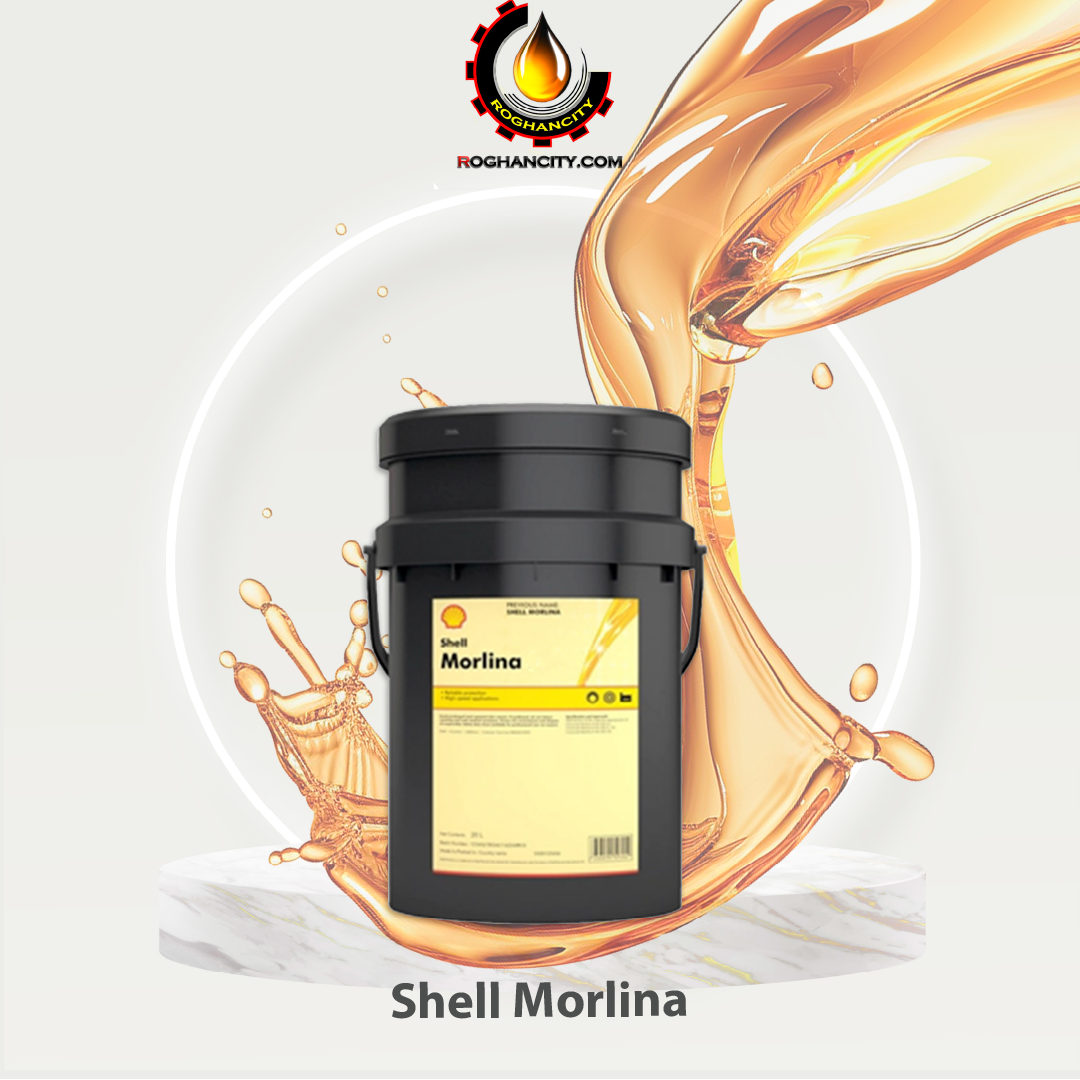 Shell Morlina