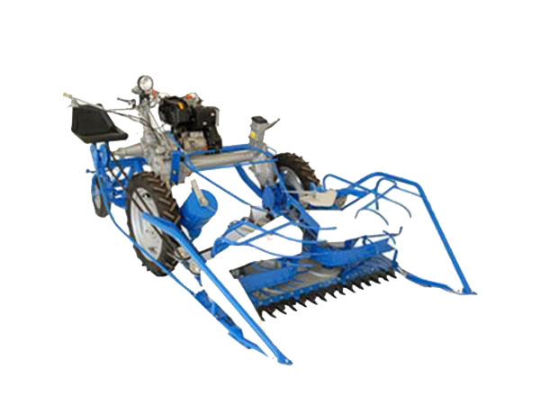 دروگر گندم|فوکس کالا