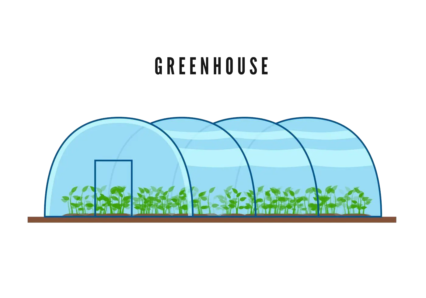 نایلون گلخانه|فوکس کالا